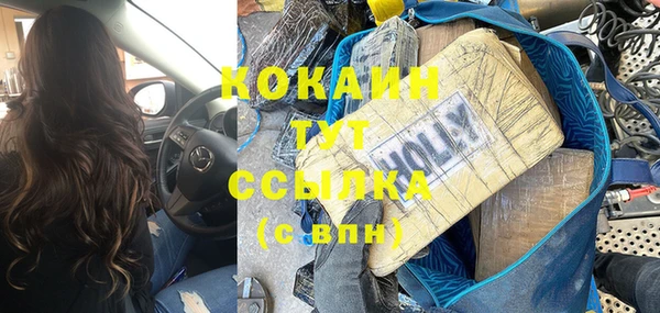 стафф Арсеньев