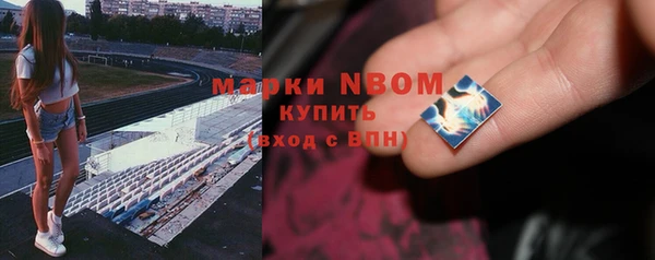 прущие грибы Алзамай