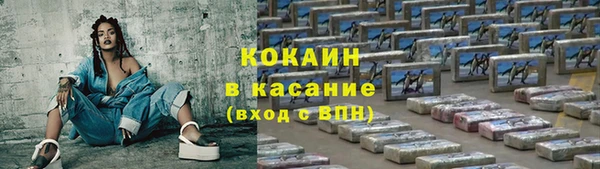 прущие грибы Алзамай