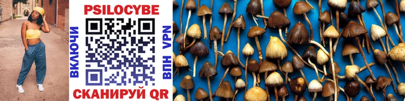 Псилоцибиновые грибы Psilocybe  блэк спрут как зайти  Верхняя Тура 